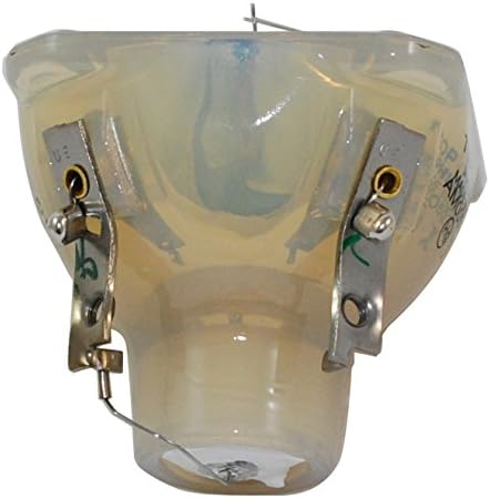 Philips UHP Bare Bulb for Optoma BL-FU220B Projector - Without Housing
