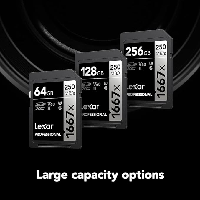 Lexar 128GB (2-Pack) Professional 1667x SD Card, UHS-II, C10, U3, V60, Full HD, 4K, Up To 250MB/s Read SDXC Memory Card, for Professional Photographer, Videographer, Enthusiast (LSD128CBNA16672)