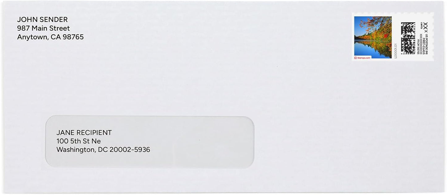 Fall River NetStamps 1200-Pack (50 Sheets) Printable Postage Labels (Stamps.com Subscription Required) - Print Approved Postage - Inkjet & Laser Printers - Business, Personal, Home