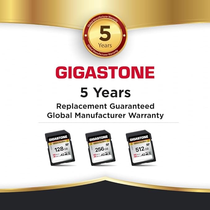 【5-Years Data Recovery】 GIGASTONE 256GB SD Card, 4K Camera Pro MAX, A2 4K SDXC Memory Card High Speed 4K UHD Video Compatible with Canon Kodak Digital Camera, with 1 Mini case