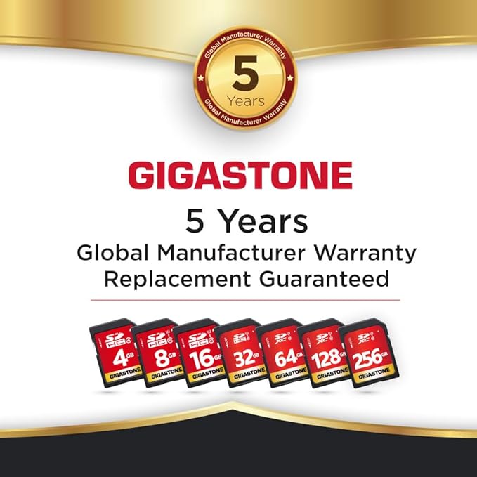 Gigastone 256GB SD Card UHS-I U1 Class 10 SDXC Memory Card High Speed Full HD Video Canon Kodak Olympus Digital Camera, with 1 mini case