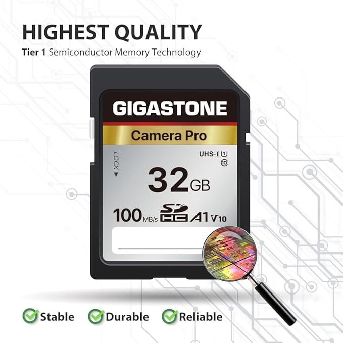 【5-Years Data Recovery】 GIGASTONE 32GB SD Card 2-Pack, Camera Pro, A1 V10 SDHC Memory Card Compatible with SPYPOINT TACTACAM Trail Camera, with 2 Mini Cases