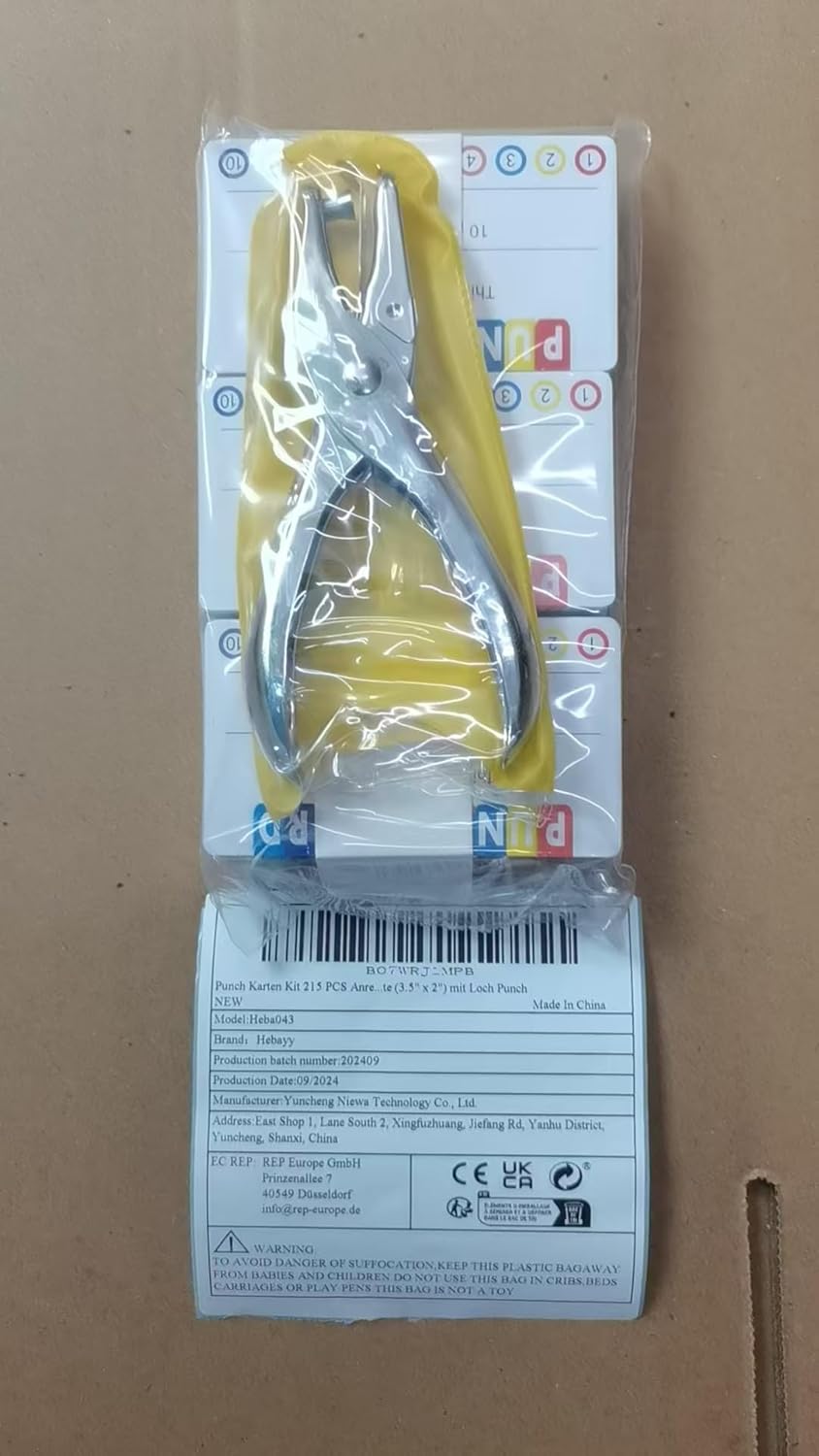 Punch Cards Kit 215 PCs Incentive / Chore / Responsibility / School Attendance / Homework Progress Tracking Card (3.5" x 2") with Hole Punch