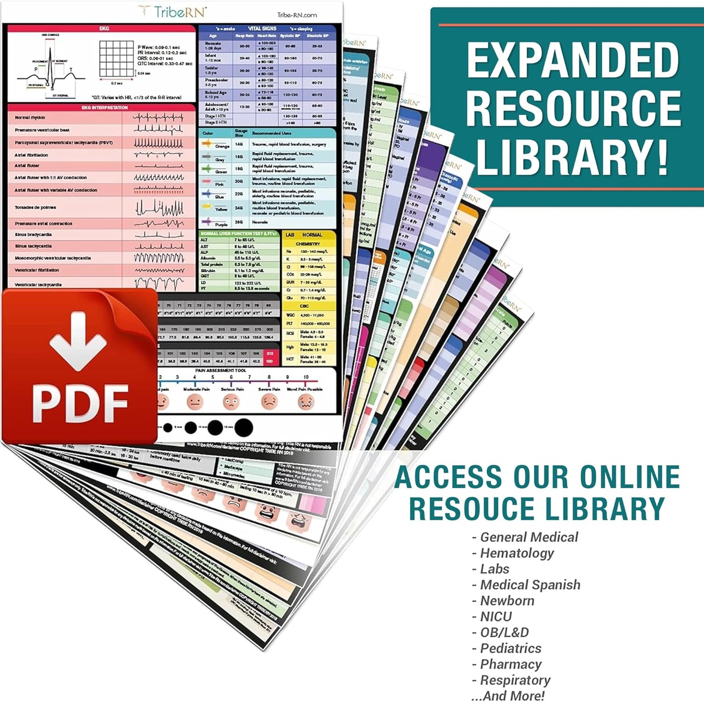 Tribe RN Nursing Clipboard with Storage - Medical Clipboard Nursing Essentials for Nurses and Nursing Students School Supplies with Quick Access Reference Guide (Pink)