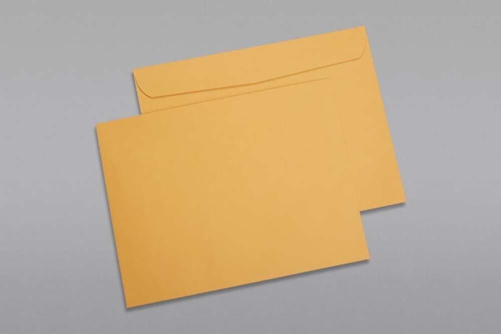 Limited Papers (TM) Booklet Envelopes, (Open Side) Brown Kraft, Gummed Seal, 28 Pound, Heavyweight, For Mailing And More. (50, 10 x 13)