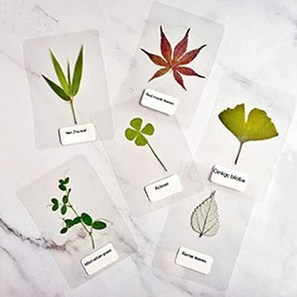 Coopaty Thermal Laminating Pouches, 9 x 11.5-Inches, 5mil, 100 Pack