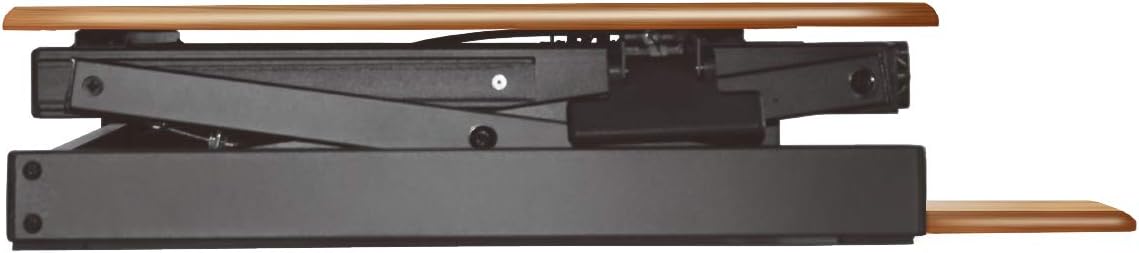 Rocelco 32" Height Adjustable Standing Desk Converter - Sit Stand Computer Workstation Riser - Dual Monitor Retractable Keyboard Tray Gas Spring Assist - Teak Wood Grain (R EADRT)