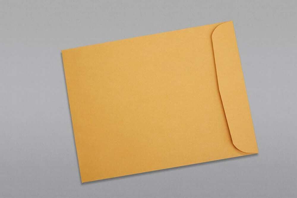 Limited Papers (TM) Booklet Envelopes, (Open Side) Brown Kraft, Gummed Seal, 28 Pound, Heavyweight, For Mailing And More. (100, 11 x 13)