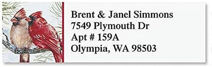 Colorful Images Garden Friends Birds Return Address Mailing Labels, Personalize with Name & Addresses, Set of 240 Self Adhesive, Easy Peel Flat Label Sheets, ⅝ x 2”, 6 Designs