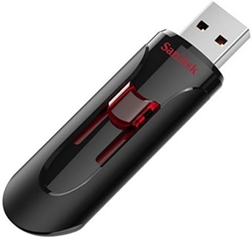 SanDisk 256GB (10 Pack) Cruzer Glide USB 3.0 Flash Drive SDCZ600-256G Bundle with (1) GoRAM Black Lanyard (256GB, 10 Pack)