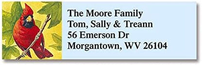 Colorful Images Birds of America Return Address Mailing Labels, Personalize with Name & Addresses, Set of 240 Self Adhesive, Easy Peel Flat Label Sheets, ⅝ inch x 2”, 12 Designs