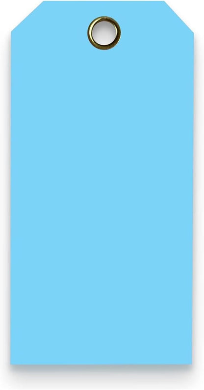 Tags 4 Less 15 Mil Waterproof Plastic Tags, Pack of 100 – 3” x 6” Heavy Duty Plastic Tags for Labeling, Outdoor Tagging, Equipment Labeling, Luggage, Valves & More (Light Blue)