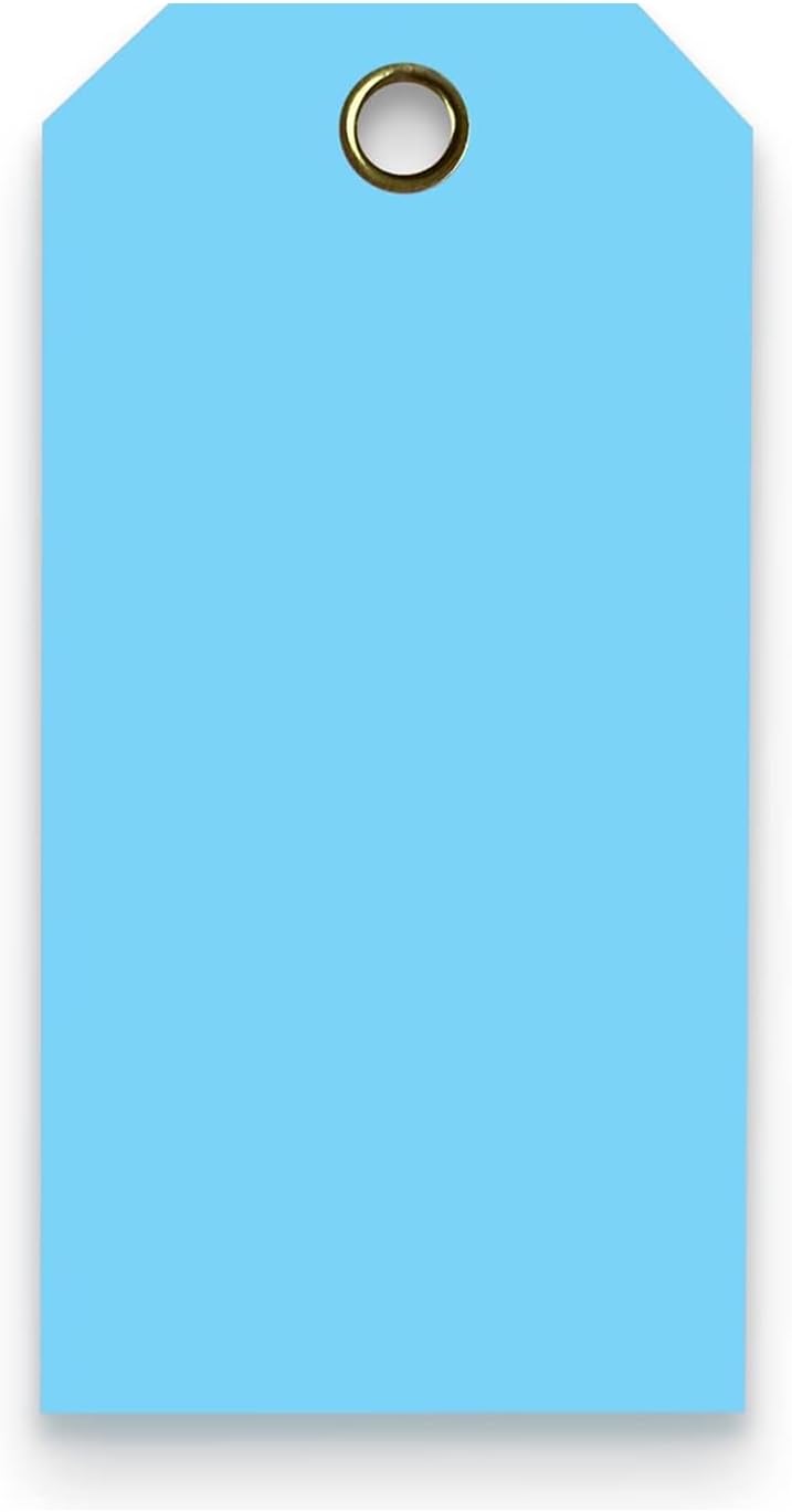 Tags 4 Less 15 Mil Waterproof Plastic Tags, Pack of 100 – 4” x 8” Heavy Duty Plastic Tags for Labeling, Outdoor Tagging, Equipment Labeling, Luggage, Valves & More (Light Blue)