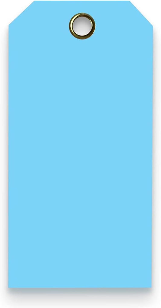 Tags 4 Less 15 Mil Waterproof Plastic Tags, Pack of 100 – 4” x 8” Heavy Duty Plastic Tags for Labeling, Outdoor Tagging, Equipment Labeling, Luggage, Valves & More (Light Blue)
