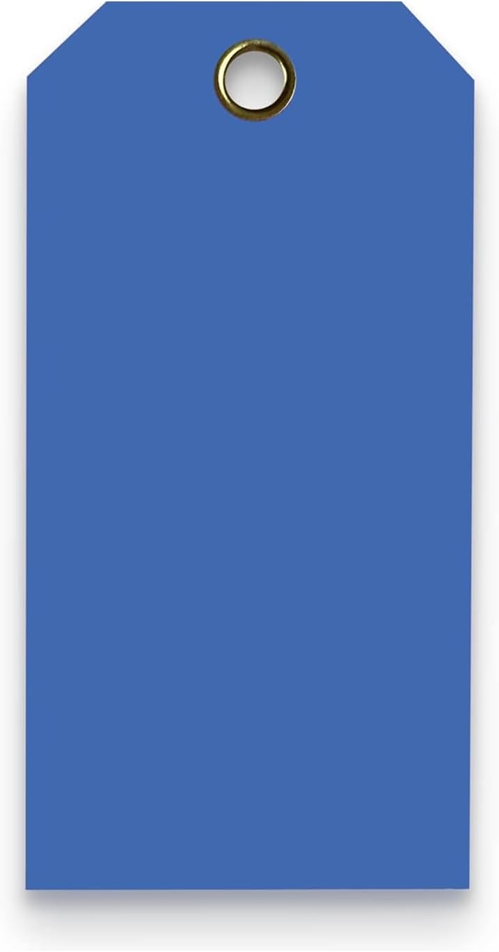 Tags 4 Less 15 Mil Waterproof Plastic Tags, Pack of 100 – 2” x 4” Heavy Duty Plastic Tags for Labeling, Outdoor Tagging, Equipment Labeling, Luggage, Valves & More (Dark Blue)