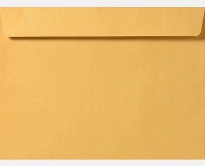 Limited Papers (TM) Booklet Envelopes, (Open Side) Brown Kraft, Gummed Seal, 28 Pound, Heavyweight, For Mailing And More. (250, 6 x 9.5)