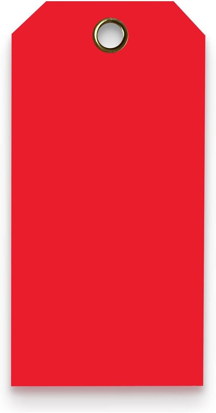 Tags 4 Less 15 Mil Waterproof Plastic Tags, Pack of 100 – 2” x 4” Heavy Duty Plastic Tags for Labeling, Outdoor Tagging, Equipment Labeling, Luggage, Valves & More (Red)