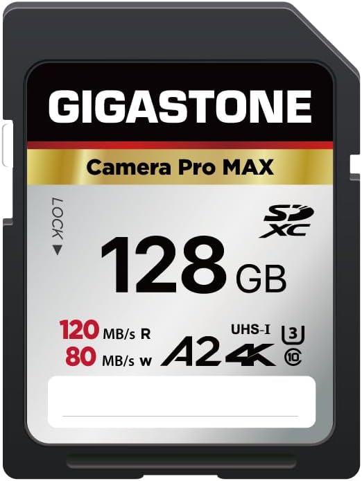 【5-Years Data Recovery】 GIGASTONE 128GB SD Card, 4K Camera Pro MAX, A2 4K SDXC Memory Card High Speed 4K UHD Video Compatible with Canon Kodak Digital Camera, with 1 mini case