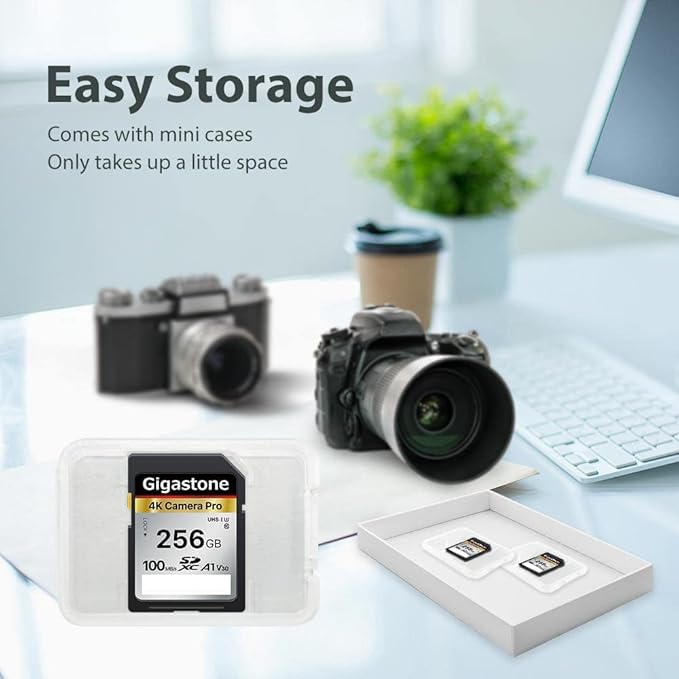 【5-Years Data Recovery】 GIGASTONE 256GB SD Card, 4K Camera Pro, A1 V30 SDXC Memory Card 4K UHD Video Compatible with Canon Digital Camera, with 1 Mini Case