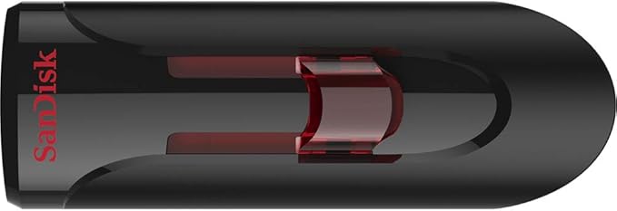 SanDisk 256GB (5 Pack) Cruzer Glide USB 3.0 Flash Drive SDCZ600-256G Bundle with (1) GoRAM Black Lanyard (256GB, 5 Pack)