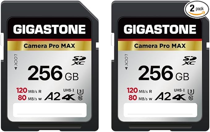 【5-Years Data Recovery】 GIGASTONE 256GB SD Card 2-Pack, 4K Camera Pro MAX, A2 4K SDXC Memory Card High Speed 4K UHD Video Compatible with Canon Kodak Digital Camera, with 2 Mini case