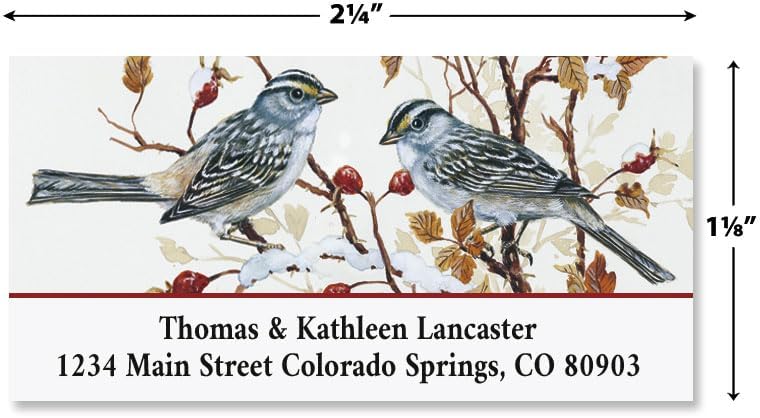 Colorful Images Garden Friends Birds Return Address Mailing Labels, Personalize with Name & Addresses, Set of 144 Self Adhesive, Easy Peel Flat Label Sheets, 1 ⅛ x 2 ¼”, 6 Designs