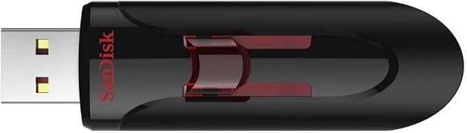SanDisk 256GB (10 Pack) Cruzer Glide USB 3.0 Flash Drive SDCZ600-256G Bundle with (1) GoRAM Black Lanyard (256GB, 10 Pack)