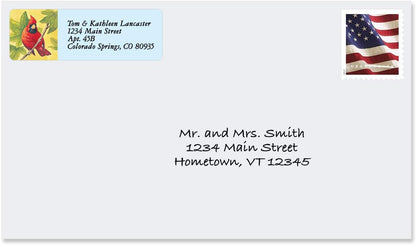 Colorful Images Birds of America Return Address Mailing Labels, Personalize with Name & Addresses, Set of 240 Self Adhesive, Easy Peel Flat Label Sheets, ⅝ inch x 2”, 12 Designs