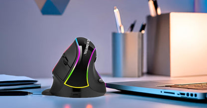 J-Tech Digital Ergonomic Mouse with Wireless Connection, Removable Palm Rest, Thumb Buttons, Rechargeable Battery, 800 DPI, Compatible with Windows and MAC OS