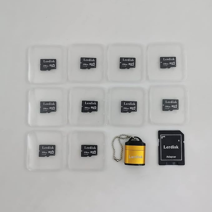Factory Wholesale Micro SD Card 256MB (0.25GB) Pack of 10 in Bulk Low Capacity for MP3/Old Phones/Small Files Only -Not for Cameras/Dashcams/GB Devices