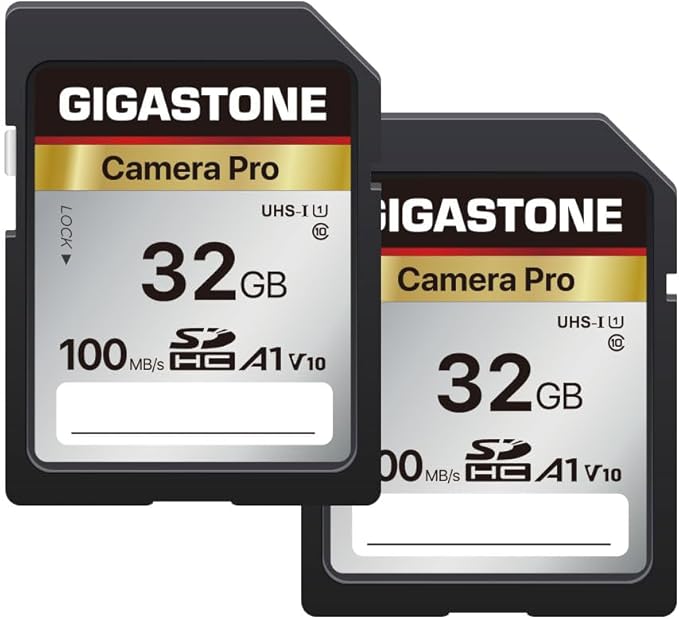 【5-Years Data Recovery】 GIGASTONE 32GB SD Card 2-Pack, Camera Pro, A1 V10 SDHC Memory Card Compatible with SPYPOINT TACTACAM Trail Camera, with 2 Mini Cases