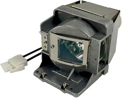 BulbAmerica Projector Lamp for Optoma W313 - Housing Assembly with Original OEM Bulb