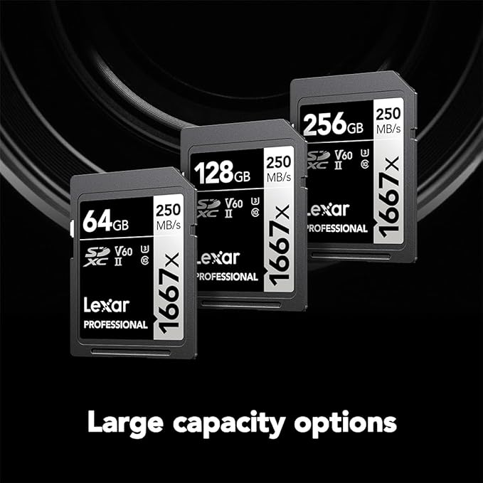 Lexar 256GB Professional 1667x SD Card, UHS-II, C10, U3, V60, Full HD, 4K, Up To 250MB/s Read SDXC Memory Card, for Professional Photographer, Videographer, Enthusiast (LSD256CBNA1667)