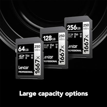 Lexar 256GB Professional 1667x SD Card, UHS-II, C10, U3, V60, Full HD, 4K, Up To 250MB/s Read SDXC Memory Card, for Professional Photographer, Videographer, Enthusiast (LSD256CBNA1667)