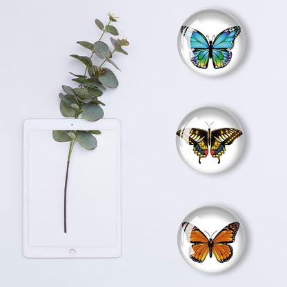 12Pcs Glass Strong Refrigerator Magnet Fridge Sticker,Butterfly Crystal Fridge Magnets Decoration for Crafts,Strong Fridge Magnets for Kitchen, School,Office Whiteboard, Cabinet and Dishwasher