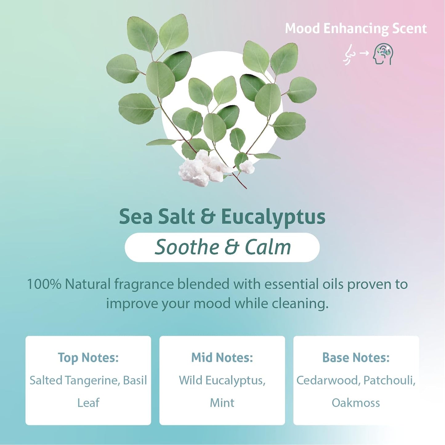 Therapy Clean All Purpose Cleaner Sea Salt & Eucalyptus (Pack of 6) - 100% Natural Fragrance, Plant-Based Multipurpose Cleaner
