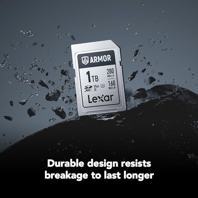 Lexar 1TB Armor Silver PRO SDXC Memory Card, UHS-II, C10, U3, V60, 6K UHD, Up to 280MB/s Read, Stainless Steel, for Professional Photographer, Videographer, Enthusiast (LSDAMSP001T-RNNNU)