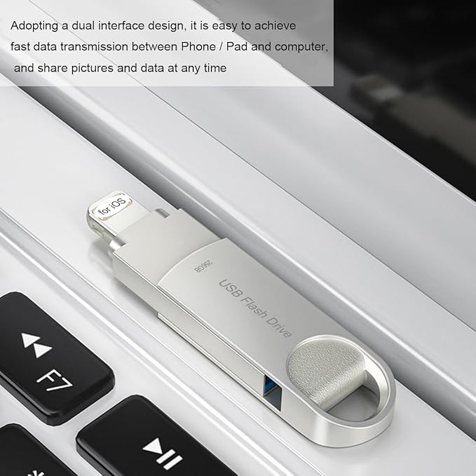 USB 256GB Flash Drive Photo Stick for Phone External Storage DEZOBYTE Compatible for i-Phone Pad Android USB C PC MS02 Silver