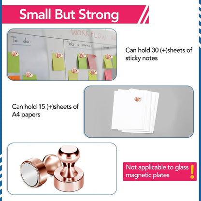 LOVIMAG Fridge Magnets, 18Pcs Cute Magnets for Refrigerator Strong Fridge for Whiteboard, Small Neodymium for Pink Magnet for Decorative Magnet,Kitchen, Office, School, Map