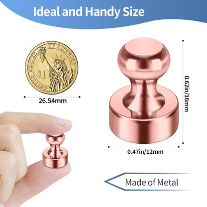 12Pack Rose Gold Fridge Magnets Refrigerator Magnets Adults Magnets for Whiteboard School Office Locker Kitchen Decorative Small and Strong