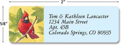 Colorful Images Birds of America Return Address Mailing Labels, Personalize with Name & Addresses, Set of 240 Self Adhesive, Easy Peel Flat Label Sheets, ⅝ inch x 2”, 12 Designs