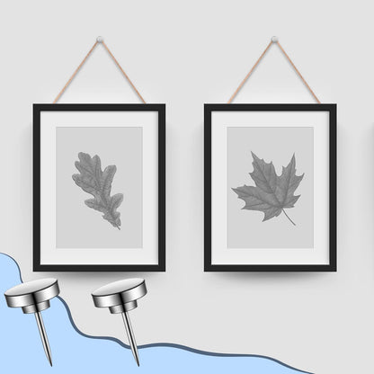 30 Pieces Push Pins, Metal Thumb Tacks for Picture Photo Hanging, Wall Pins for Board Posters Bulletin Maps, Wall Tack for Office Home Decorative