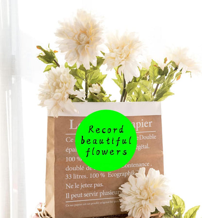 PARLAIM 3 Inch Round Permanent Adhesive Color Cod Dot Stickers,500 per Dispenser Box Roll dots Label Inventory Circle Stickers