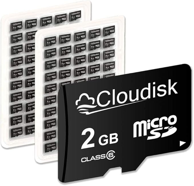 Pack of 100 Micro SD Card 2GB Flash Memory Card C6 (2GB)