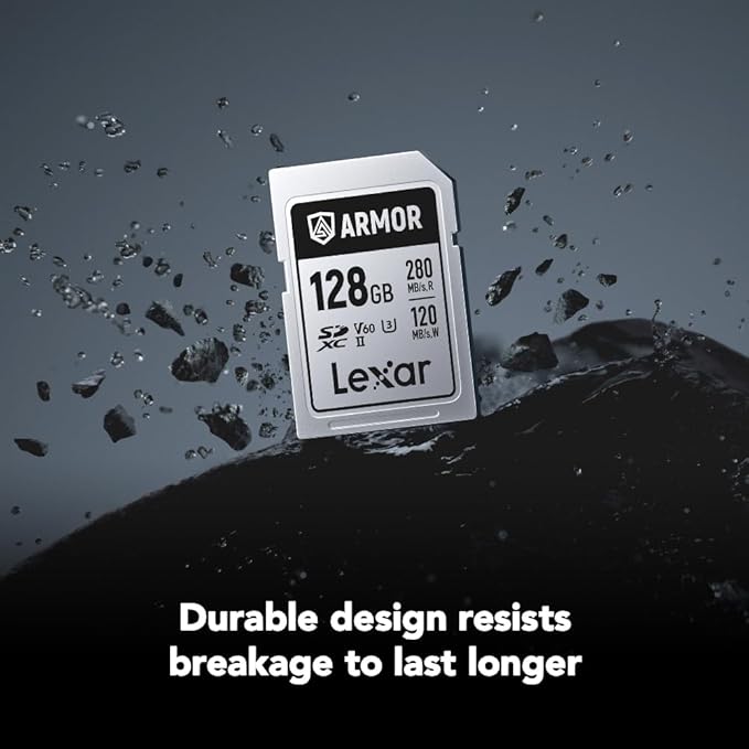 Lexar 128GB Armor Silver PRO SDXC Memory Card, UHS-II, C10, U3, V60, 6K UHD, Up to 280MB/s Read, Stainless Steel, for Professional Photographer, Videographer, Enthusiast (LSDAMSP128G-RNNNU)