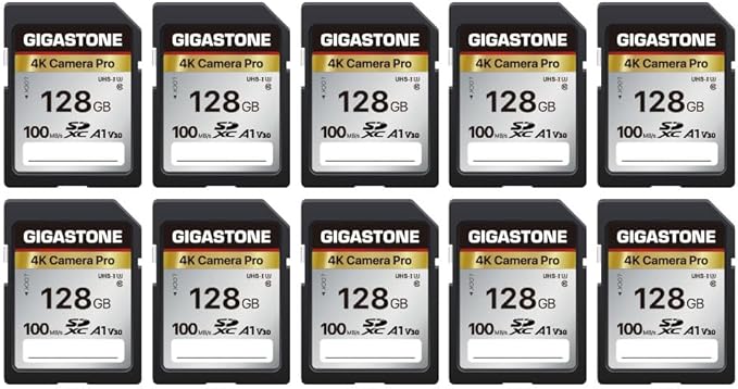 【5-Years Data Recovery】 GIGASTONE 128GB SD Card 10-Pack, 4K Camera Pro, A1 V30 SDXC Memory Card 4K UHD Video Compatible with Canon Digital Camera, with 10 Mini Cases