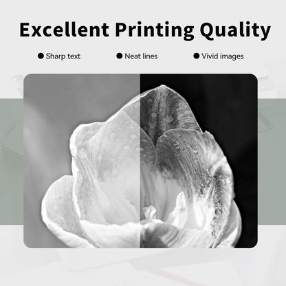 55B1000 Black Toner Cartridges (with chip) High Yield Replacement for Lexmark 55B1000 Cartridge for MS331dn MS431dn MS431dw MX331adn MX431adn MX431adw MX432adwe Printer Ink (1 Pack, 3000 pages)