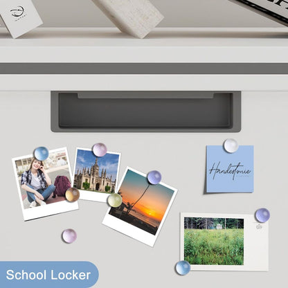 rhinocats 12Pcs Fridge Magnets, Locker Decor,Colorful Decorative Sparkling hemispheric Refrigerator Magnets, Cute Strong Whiteboard Magnets for Kitchen Office