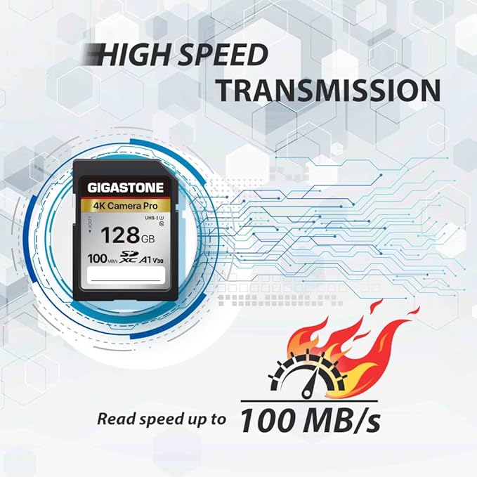 【5-Years Data Recovery】 GIGASTONE 128GB SD Card 10-Pack, 4K Camera Pro, A1 V30 SDXC Memory Card 4K UHD Video Compatible with Canon Digital Camera, with 10 Mini Cases