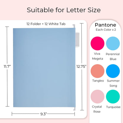 Y YOMA 12 Pack Colored Hanging File Folders Letter Size Decorative Hanging Folder Cute Pretty File Folder Organizer for Filing Cabinet Office Home with 1/5-Cut Adjustable Tabs, 6 Selected Color